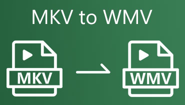 MKV 转 WMV