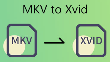 MKV 转 XVID