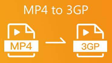 MP4 עד 3GP