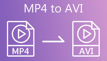 MP4 ל- AVI
