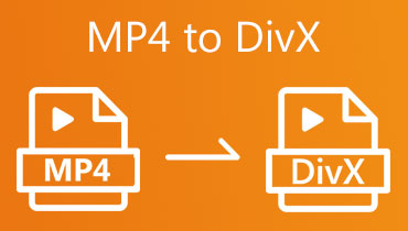 MP4 ל- DIVX