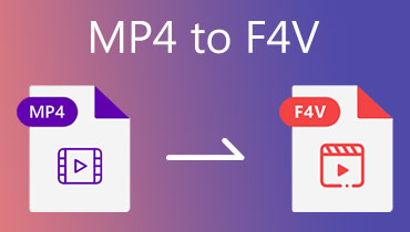 MP4 إلى F4V