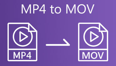 MP4 ל- MOV