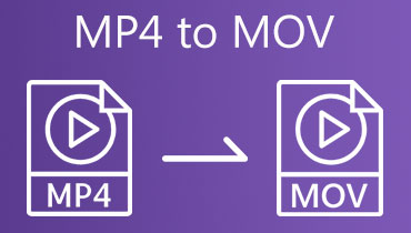 MP4到MOV