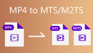 MP4 إلى MTS M2TS
