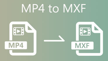 MP4 to MXF