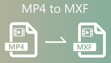 MP4 do MXF