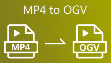 MP4 to OGV