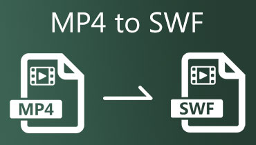 MP4를 SWF로