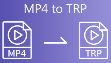 MP4'den TRP'ye dönüştürücü