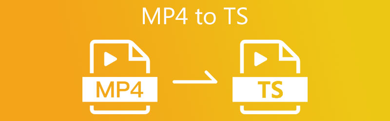 MP4 para TS