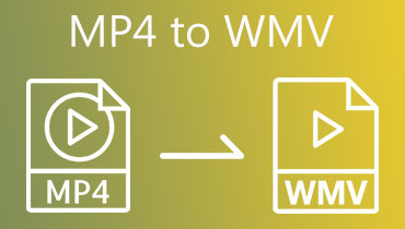 MP4 do WMV