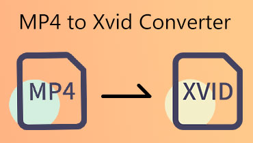 MP4 to XVID konverter