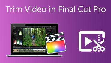 ตัดแต่งวิดีโอใน Final Cut Pro