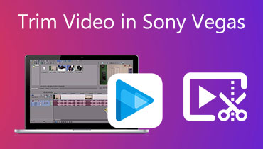 Cắt video trong Sony Vegas