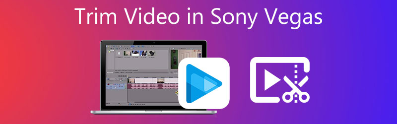 Recortar vídeo en Sony Vegas