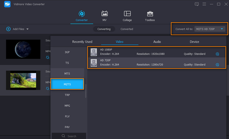 Vidmore Selecting Format