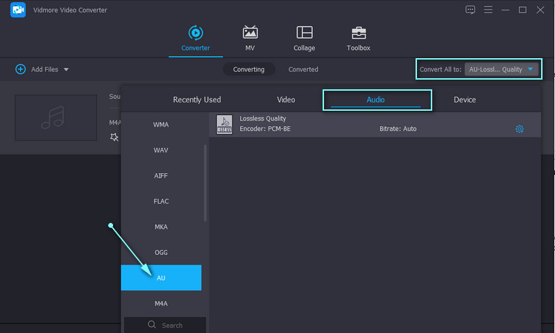 Vidmore Imposta il formato di output