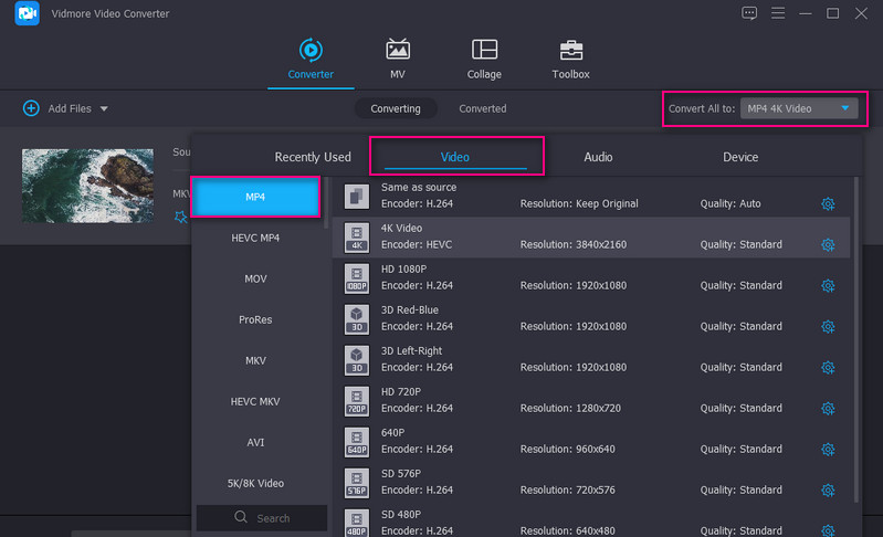 Vidmore Set Output Formating