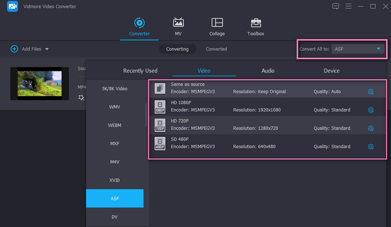 Vidmore Set Output Formats