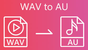 WAV'den AU'ye dönüştürücü