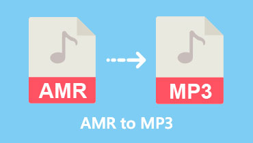 AMR sang MP3