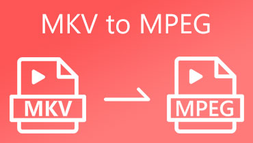 MKV to MPEG