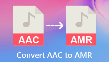 AAC'den AMR'ye dönüştürücü