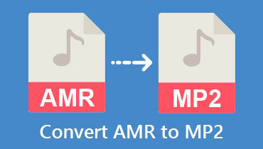 AMR ke MP2