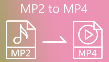 MP2 إلى MP4