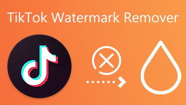 Eliminador de marcas de agua TikTok