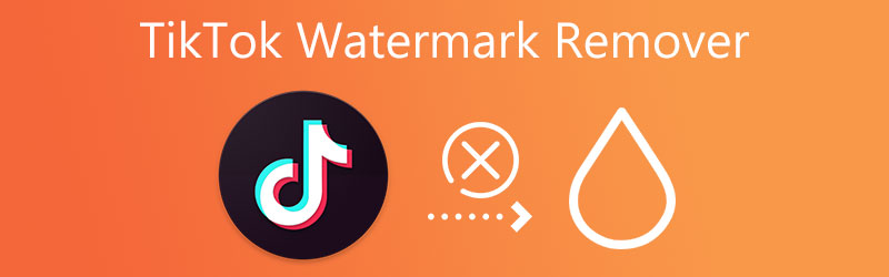 TikTok Watermark Remover