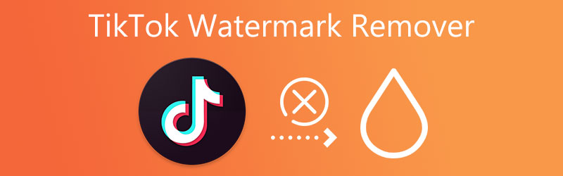 TikTok Watermerk Verwijderaar