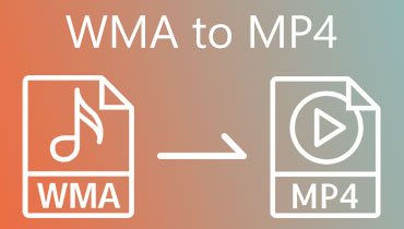 WMA to MP4