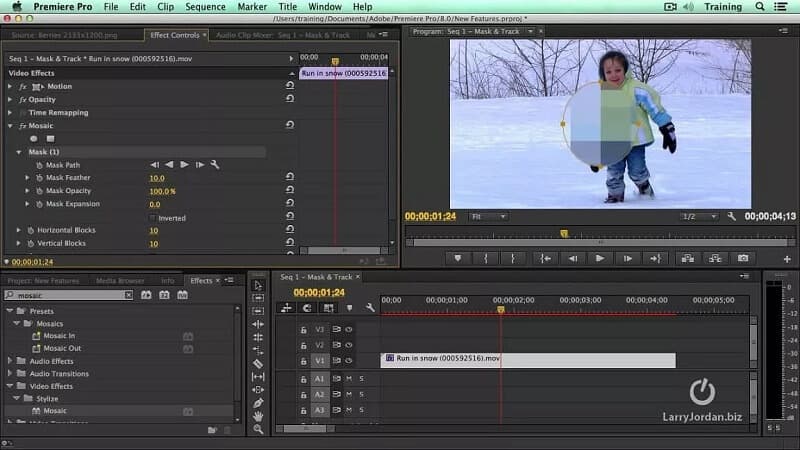 Efect de mascare Premiere Pro