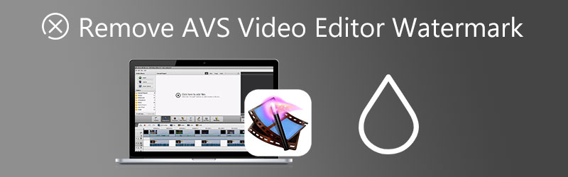 Ta bort AVS Video Editor Watermark