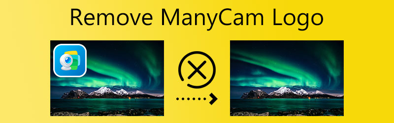 Rimuovere il logo ManyCam