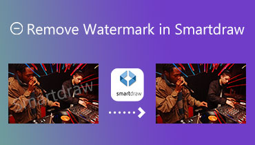 在 Smartdraw 中去除水印