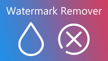 Video Watermark Remover