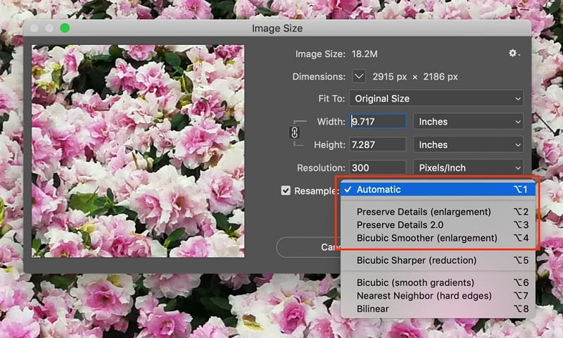 เลือก Photoshop อัตโนมัติ