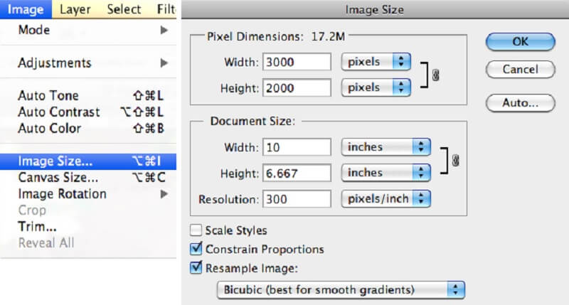 Dimensione immagine Photoshop VM