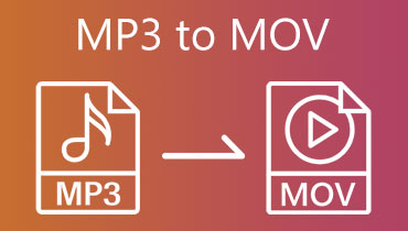 MP3'ten MOV'a