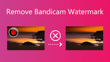 Remove Bandicam Watermark