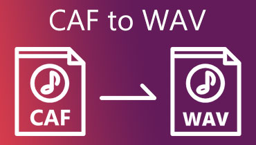 CAF til WAV