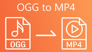 OGG til MP4