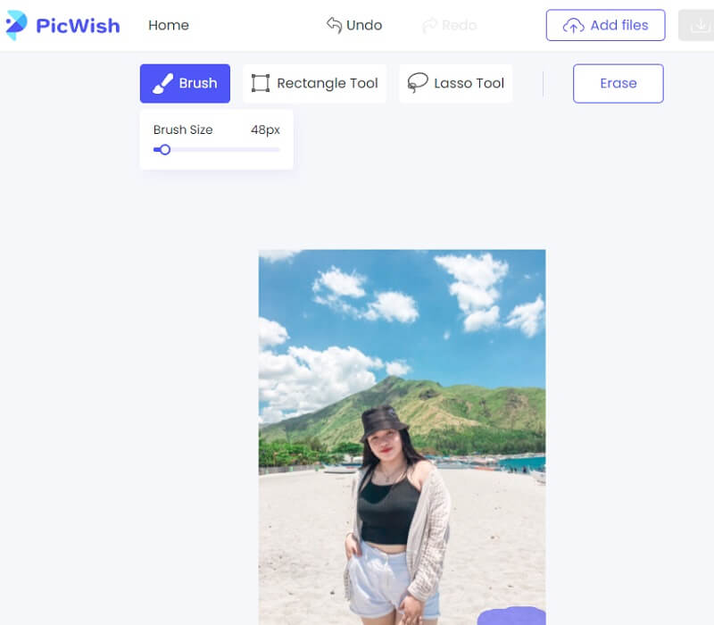 删除水印 Picwish