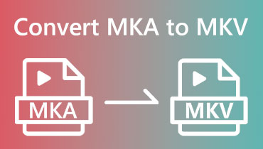 MKA'den MKV'ye dönüştürücü