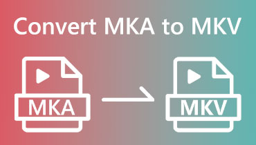 MKA 为 MKV