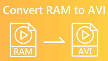 זיכרון RAM ל-AVI