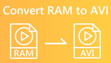 RAM to AVI